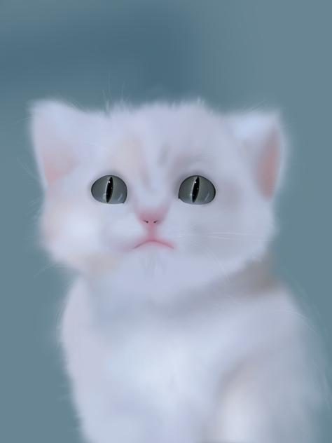 Kitten - ibisPaint