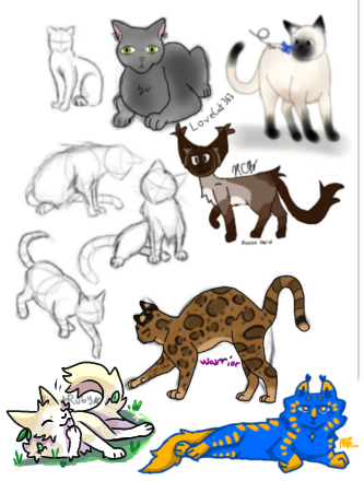 Warrior cat Collab!!!