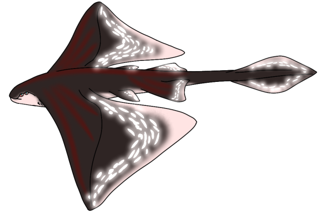 Maroon Lightskate glows2