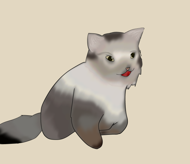 Cat