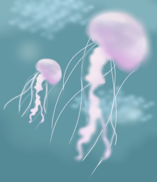 Jellyfish