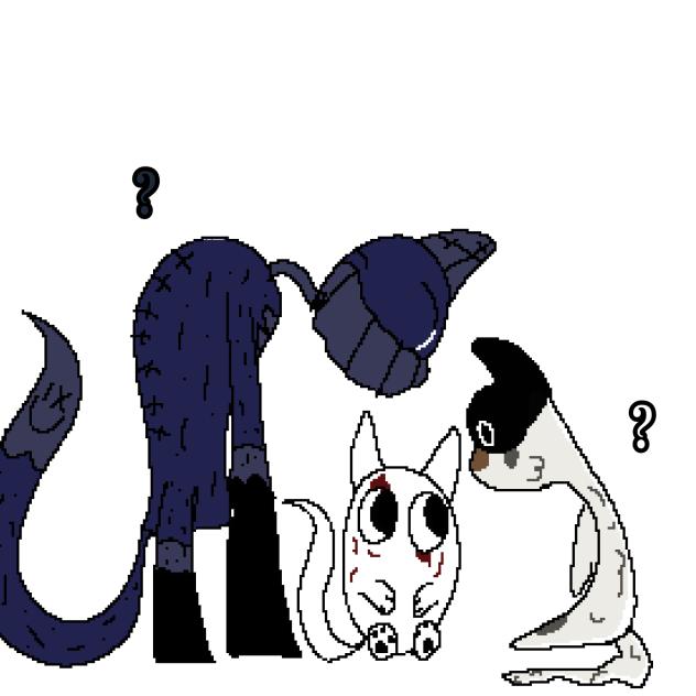 KITTTTTTTTTYS