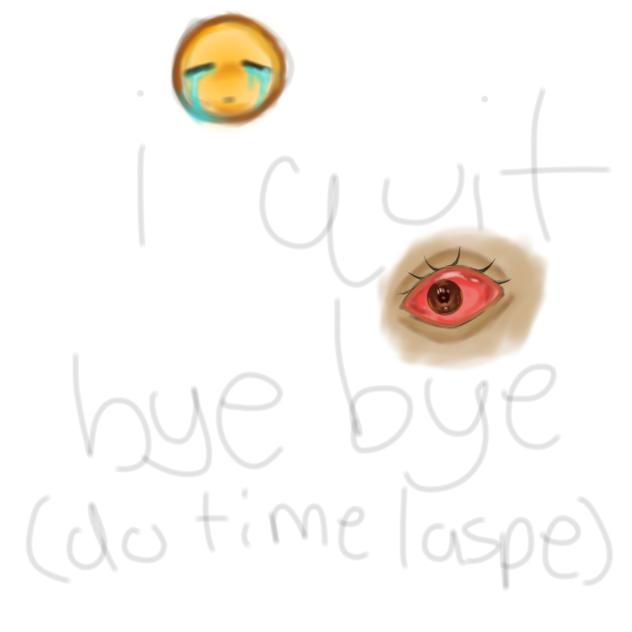I quit (use timelaspe)