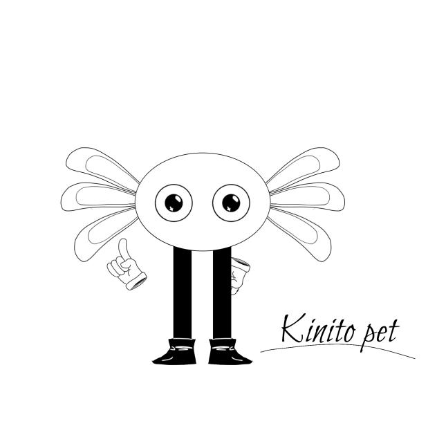 Kinito pet