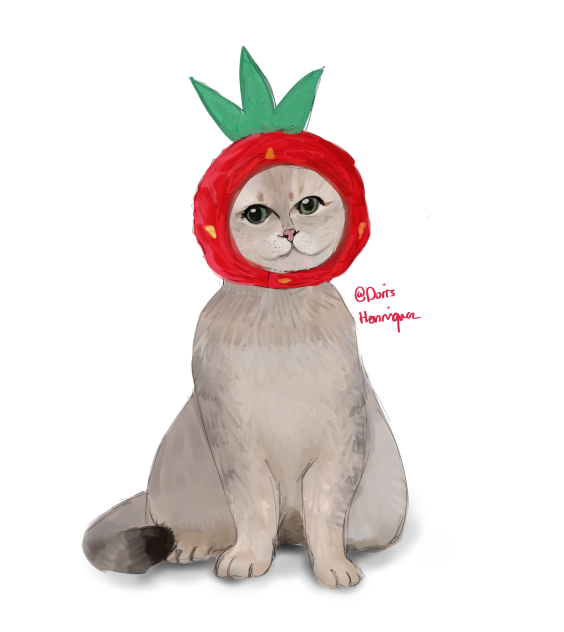 🍓🐈