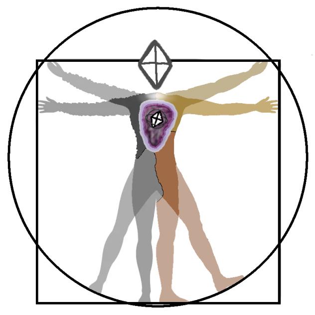 Bros anatomy