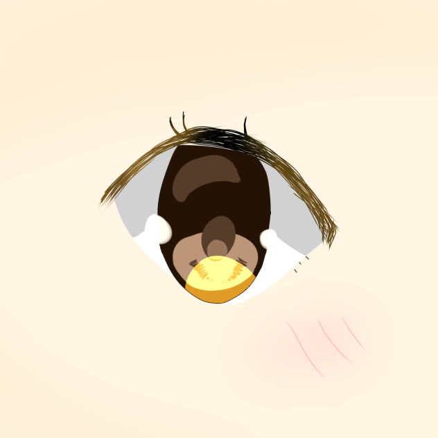 eye👁