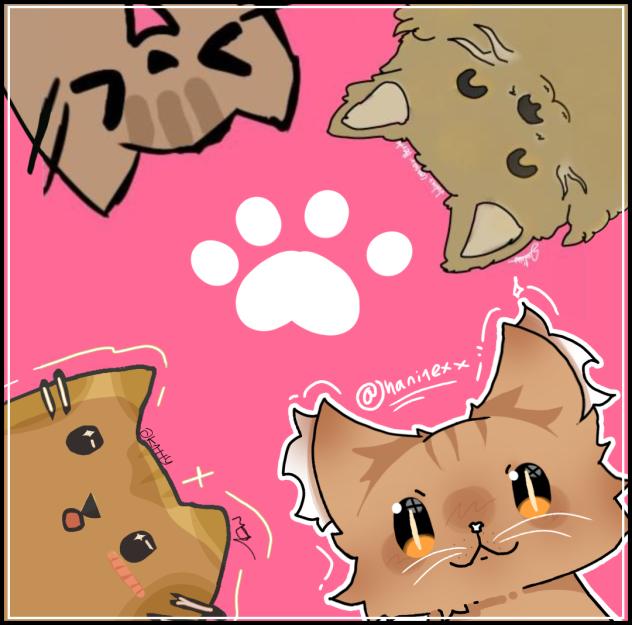 miaw²
