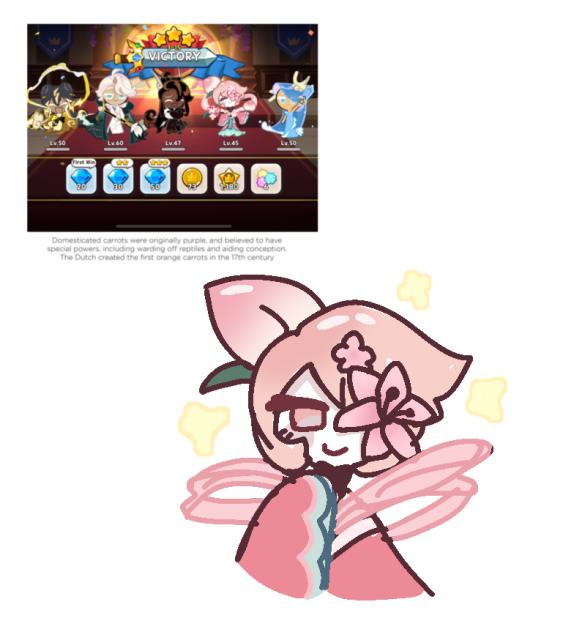 Peach blossom cookie idk