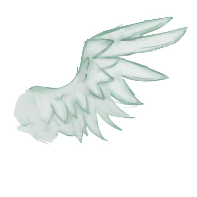 Wing rendering