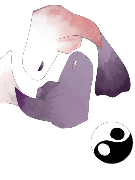 yin yang redesign