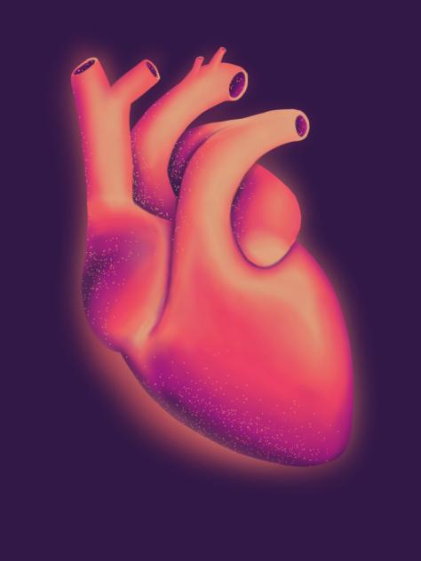 Human Heart