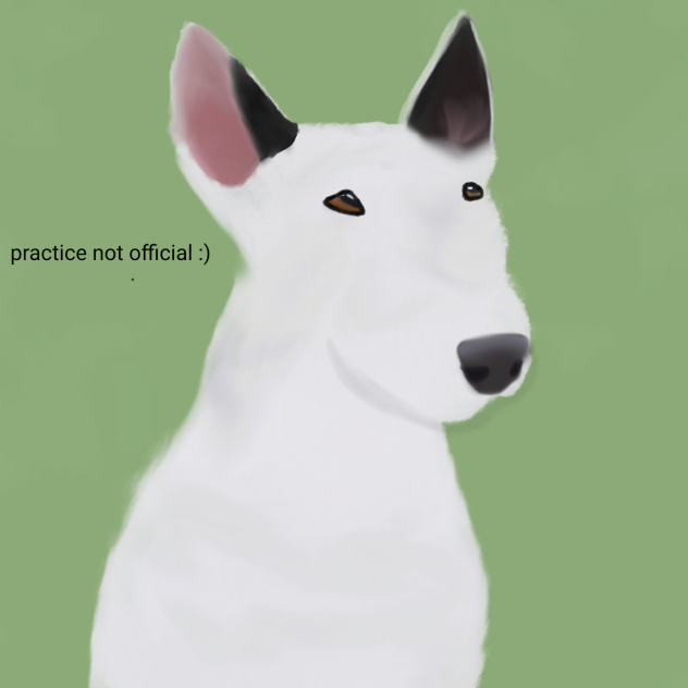 practice dog - ibisPaint