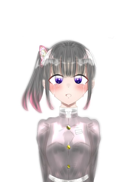 しのぶ姉さん。何処にいくの？