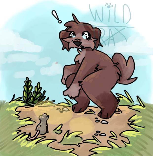 “Wow! What’s that..”