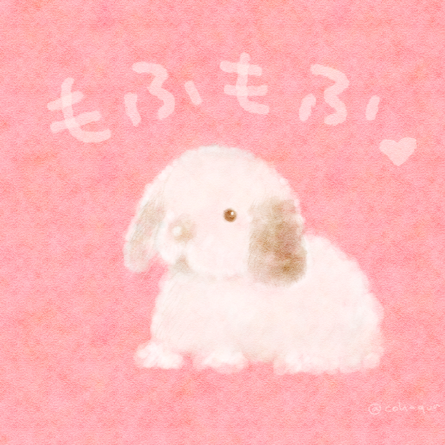 もふもふウサギ。