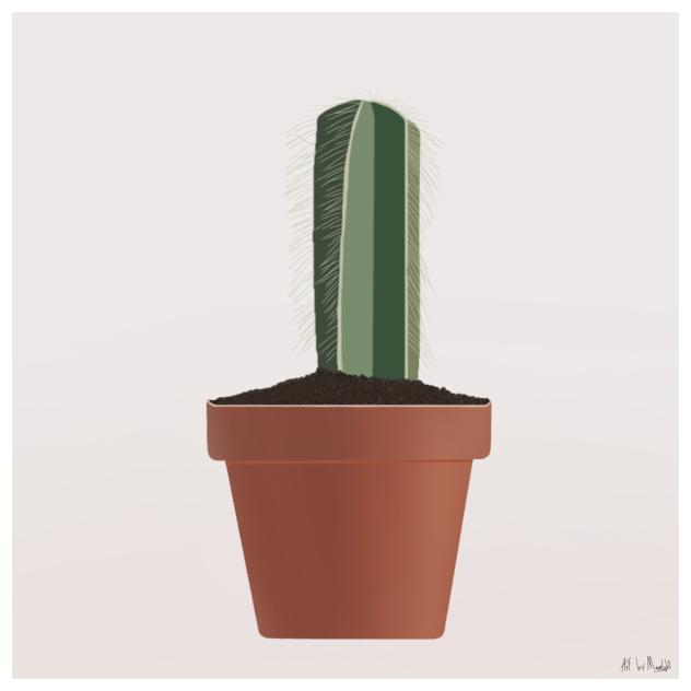 🌵