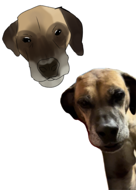 My dog