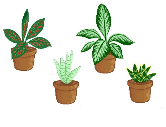 Plant pixel