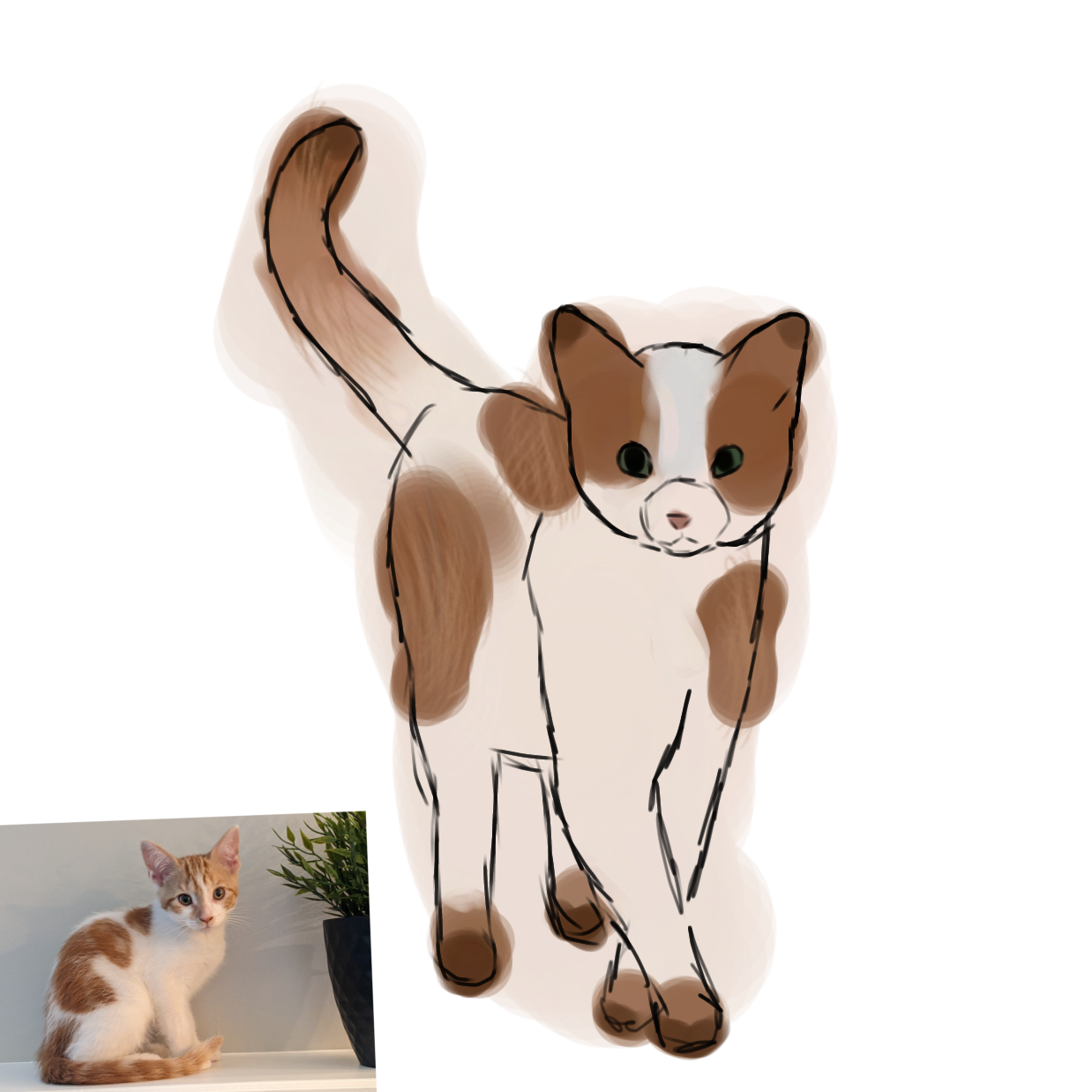 cat - ibisPaint