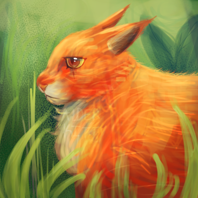 mapleshade