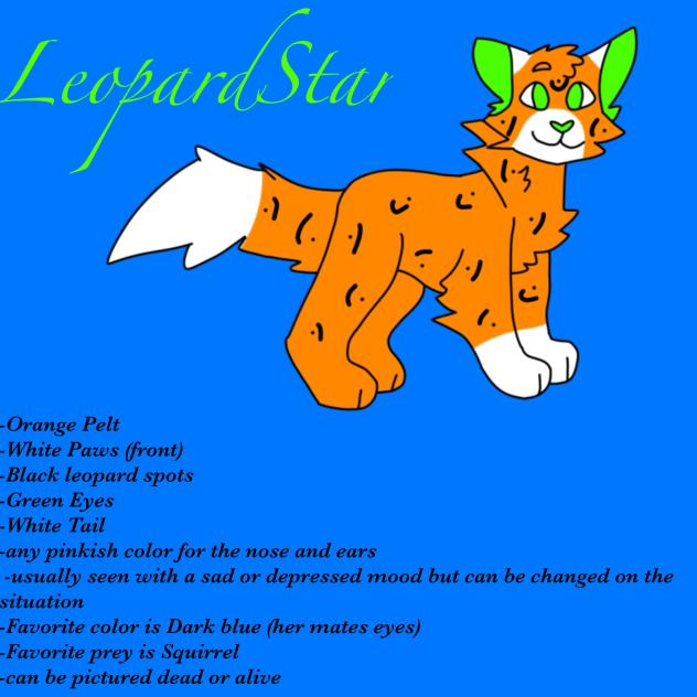 LeopardStar ref sheet