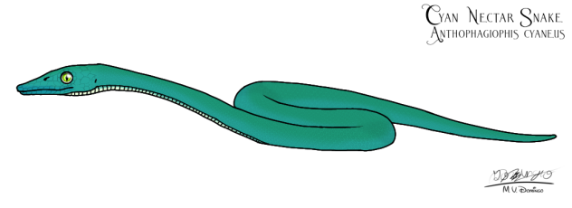 Cyan Nectar Snake