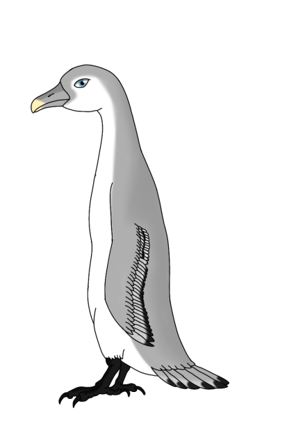 Gray Pengull