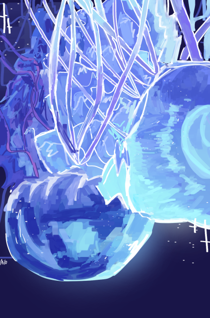 jelly fish