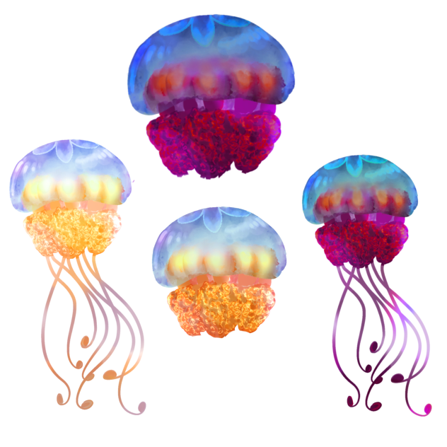 IBM2801 Jellyfish a