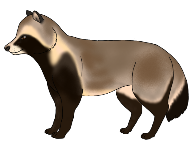 Common Raccoon Dog render