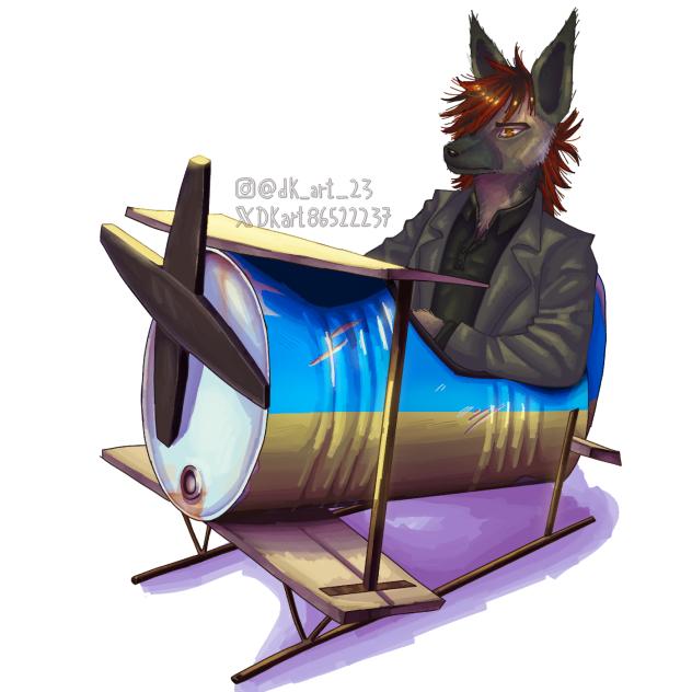 Comision V