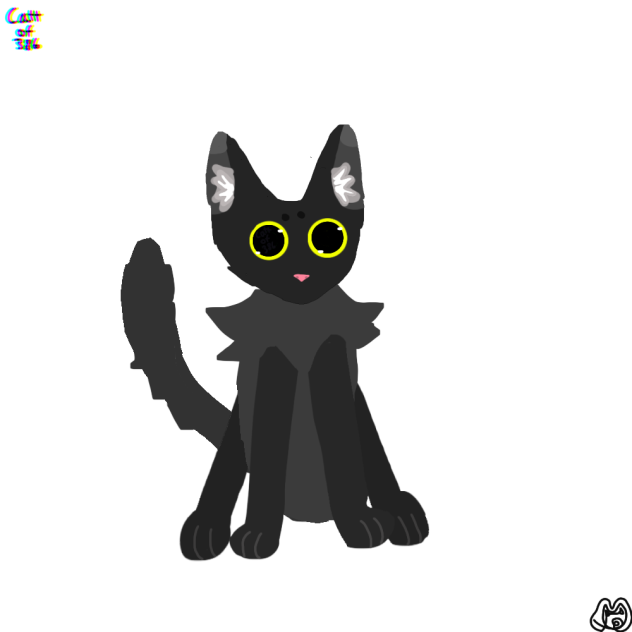 Cute black cat ⚫🐈