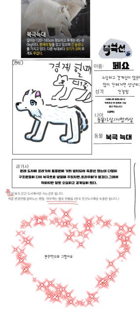 북극선 캐신 제출