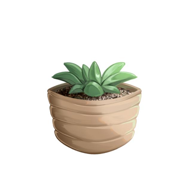 series of mini succulent 3