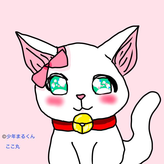 白芽メグ(猫)