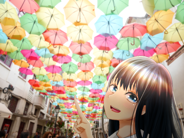 写真2
