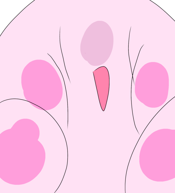 ドアップカービィさん