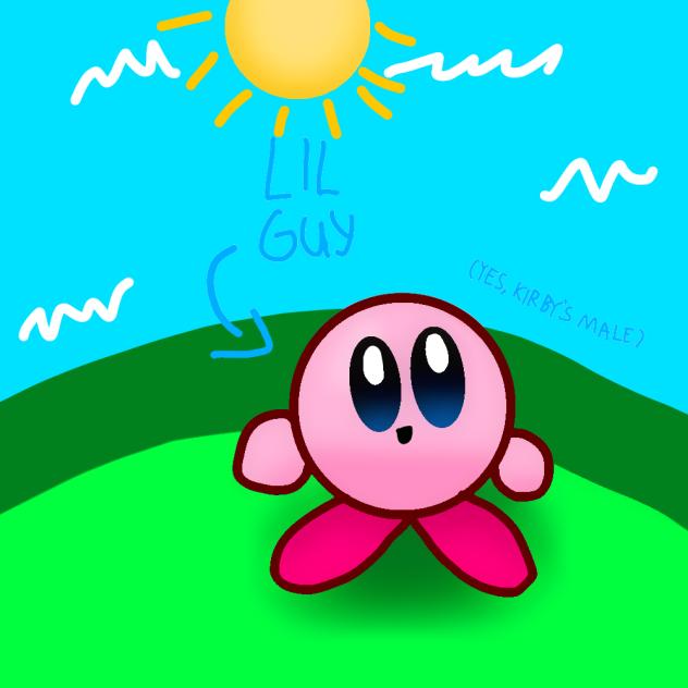 The lil guy! (Kirby)