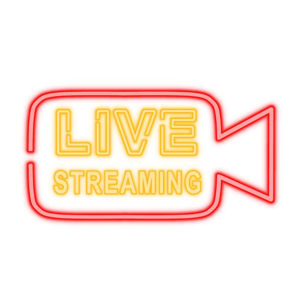 Live streaming neon led light