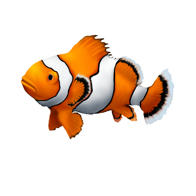Clownfish