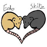 Echo and Skitz