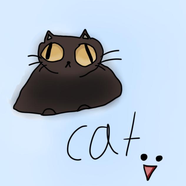 Cat.....idk