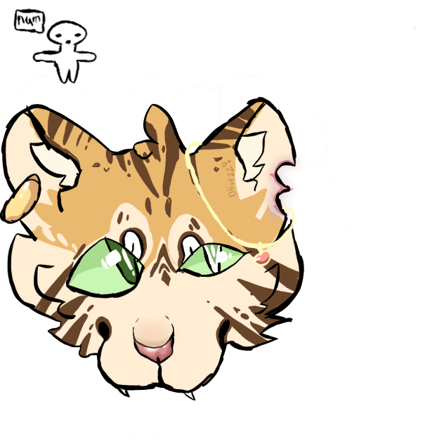 tiger🐾🐯