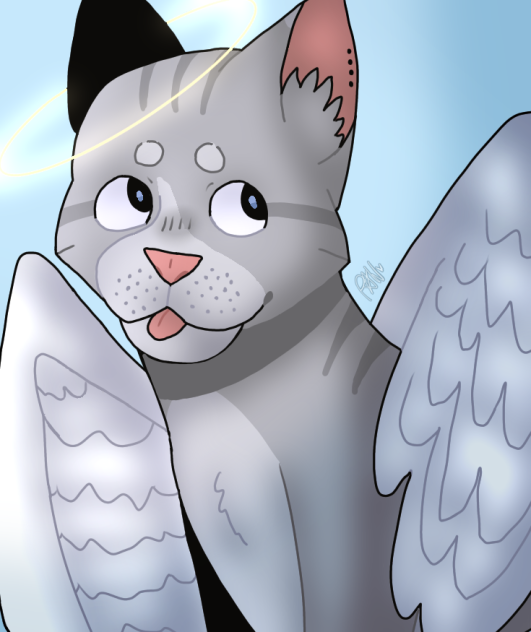 angel cat! 😸