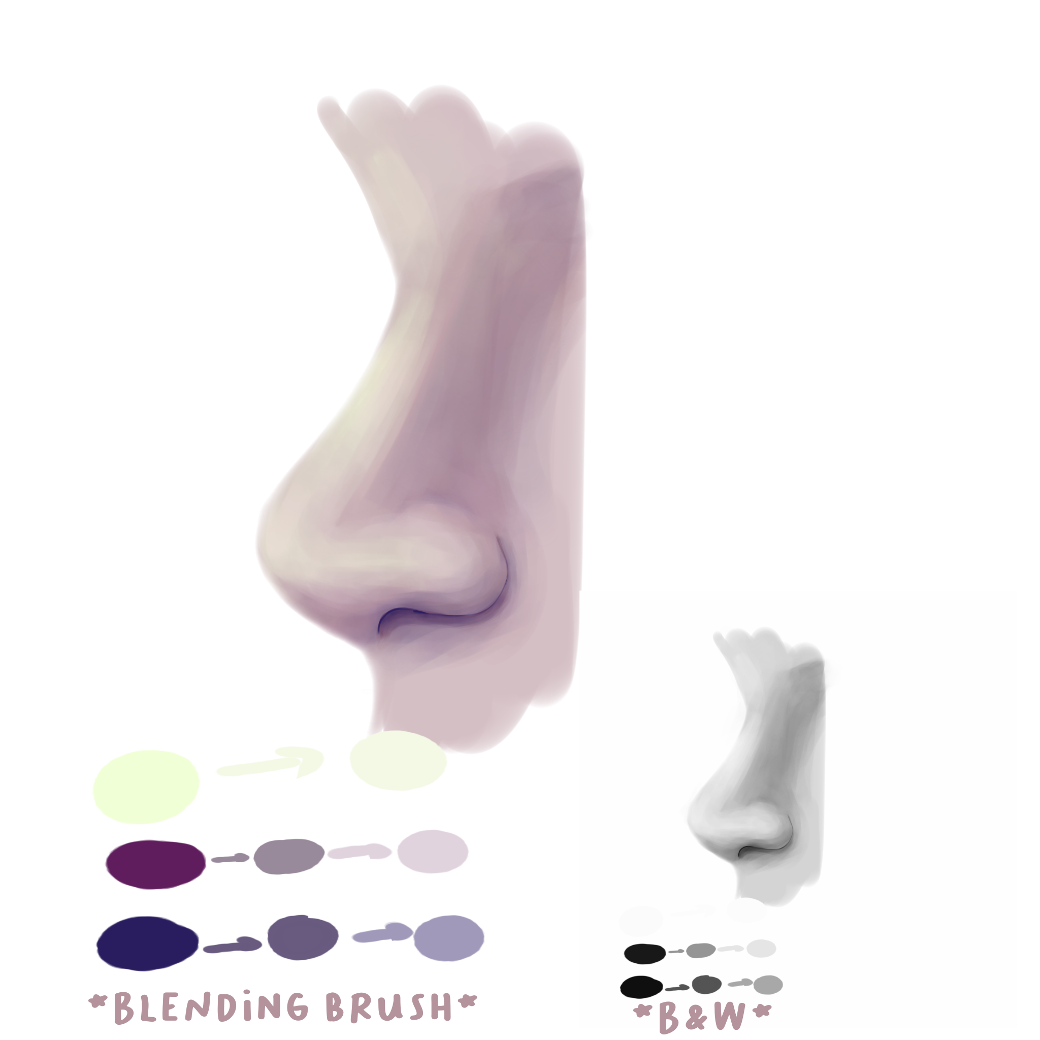 nose side profile - ibisPaint