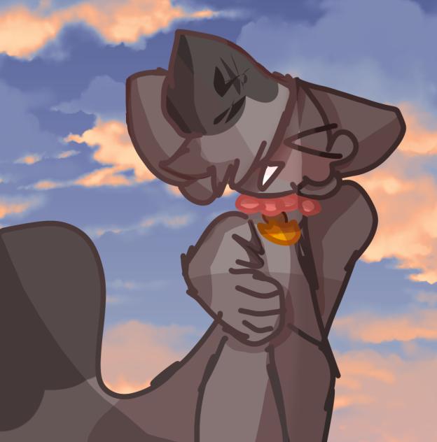 Coonie! 🐾🔥🤑🏳️‍🌈🏳️‍🌈🏳️‍🌈🏳️‍🌈🏳️‍🌈🏳️‍🌈