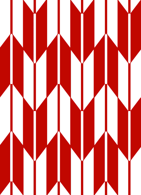 Clothes pattern 4 d
