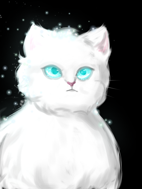 Beautiful Cat