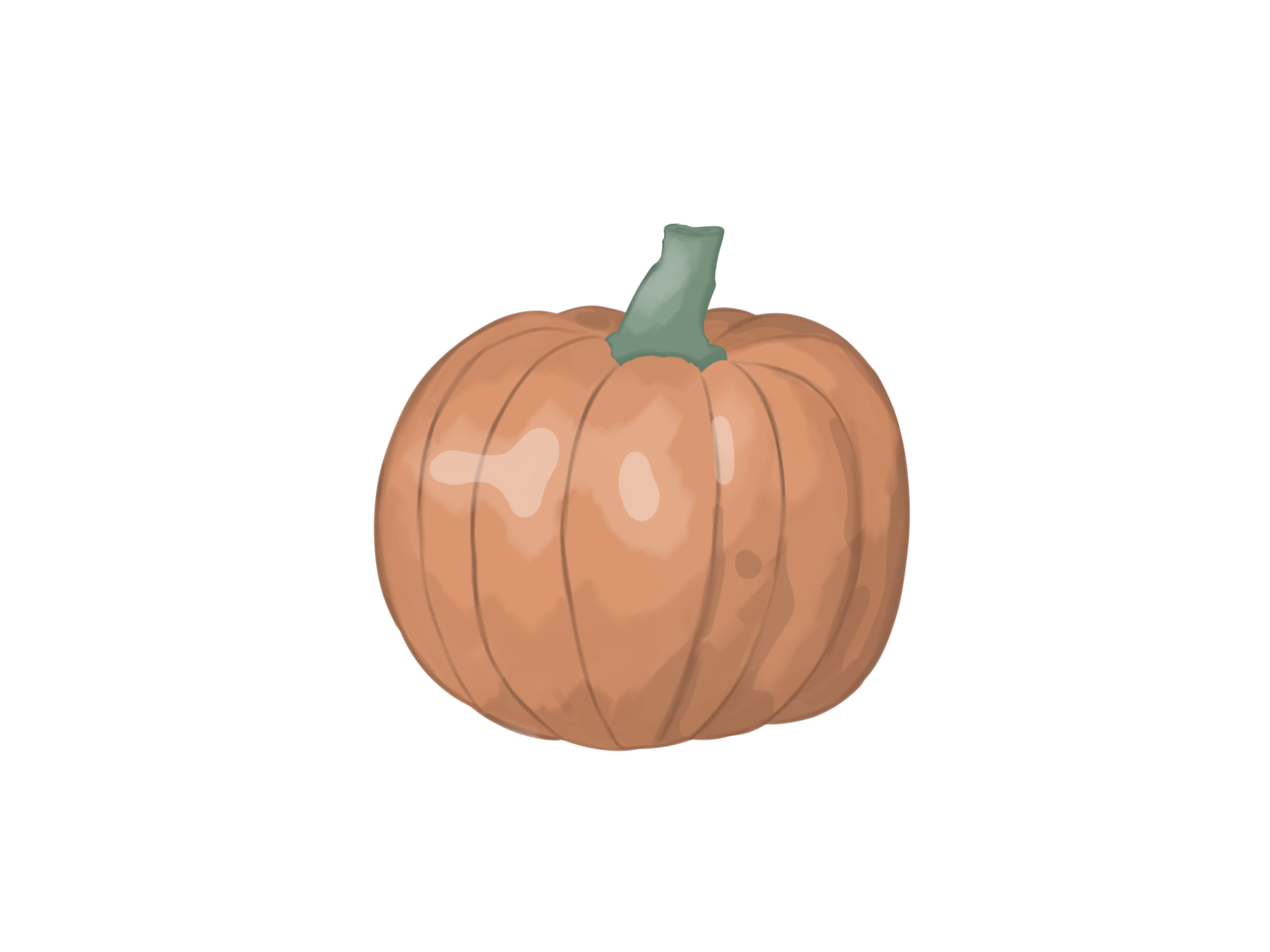 pumpkin - ibisPaint